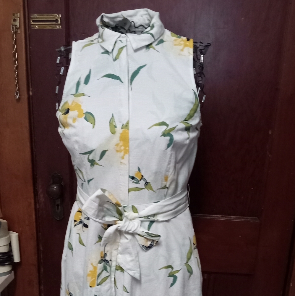 Ann Taylor vintage linen floral dress  pockets side zipper belt hide buttons 10P